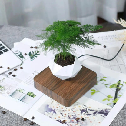 Levitating Air Bonsai Pot Rotation Flower Magnetic Suspension Floating Pot Without Plants